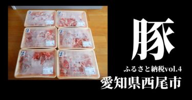 【ふるさと納税vol.4】三河おいんく豚切落し3kg（寄付額10000円）味よし・量よしの万能豚肉