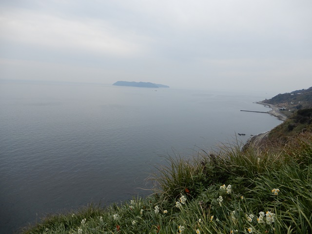 淡路島灘黒岩水仙郷から見る沼島