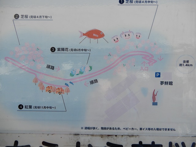 ヤマサ蒲鉾工場裏「芝桜の小道」マップ
