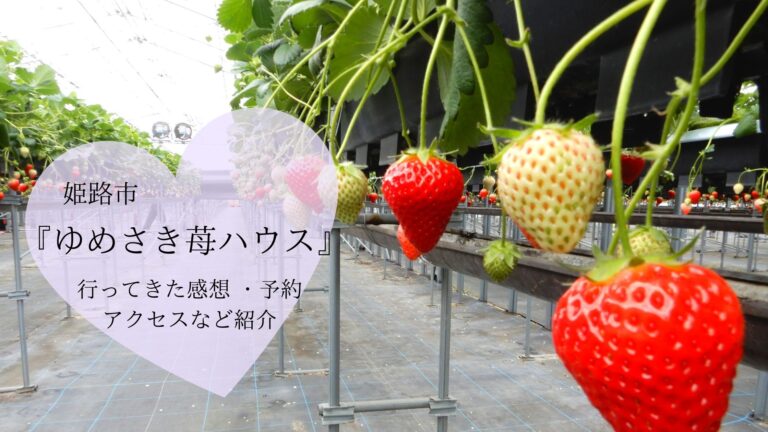 姫路『ゆめさき苺ハウス』で4種類のいちごを食べ比べ！感想・アクセスまとめ