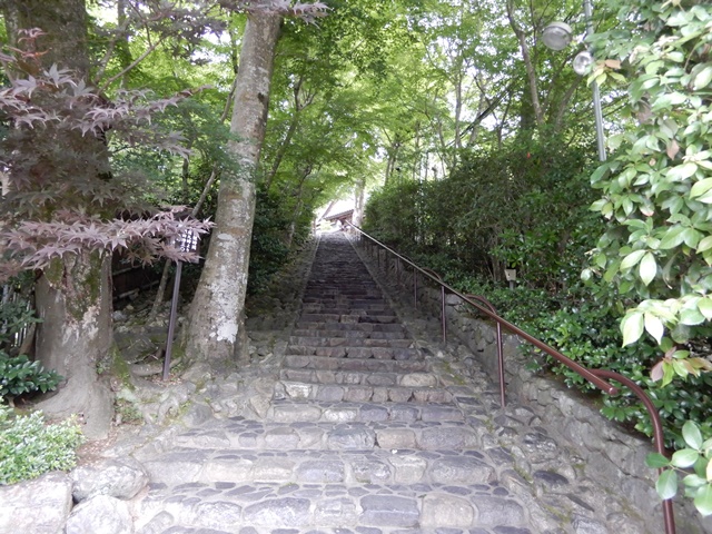 鈴虫寺　階段