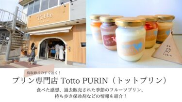 鳥取砂丘のそばにあるプリン専門店 Totto PURIN（トットプリン）おいしかった！口コミ