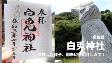【白兎神社】鳥取にあるうさぎいっぱいのかわいい神社に参拝！御朱印・ご利益・境内の様子を紹介