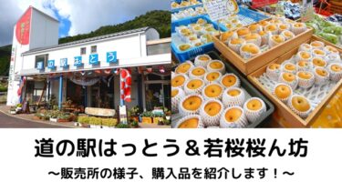 鳥取県にある道の駅「はっとう」と「若桜桜ん坊」へ　旬の野菜や果物を購入！