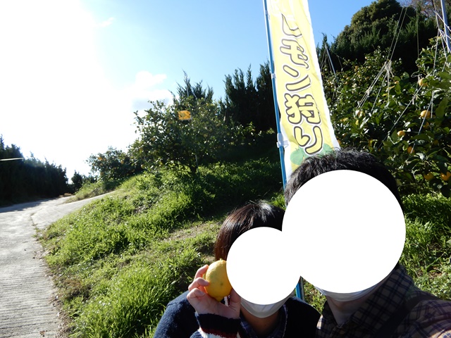 平岡農園　レモン狩り
