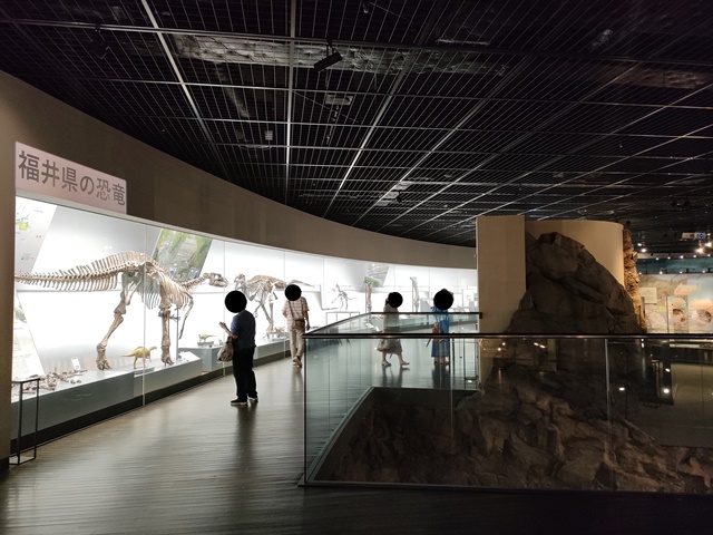 福井県立恐竜博物館　福井の恐竜