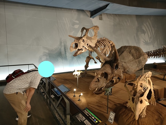 福井県立恐竜博物館　恐竜の世界ゾーン