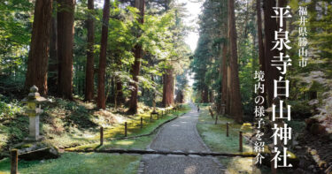 苔のじゅうたんを見に平泉寺白山神社へ行ってきました！（福井県勝山市）