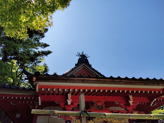 金澤神社（石川県）鳳凰