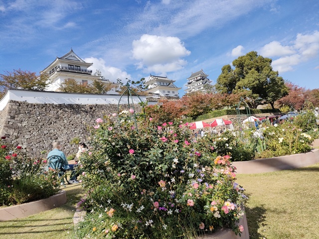 福山城博物館とバラ