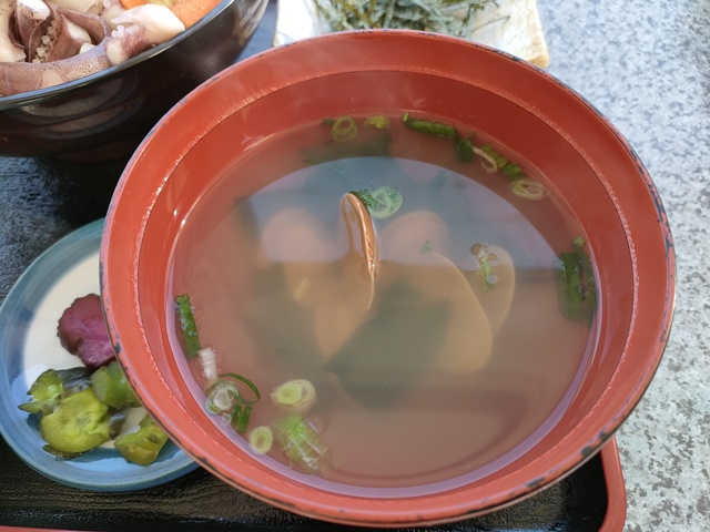 よし乃や（京都府宮津市）地イカの贅沢丼のあさりの味噌汁