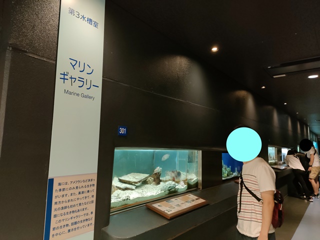 京都大学白浜水族館　第三水槽室（マリンギャラリー）