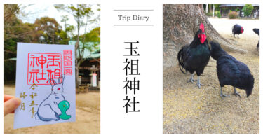境内に黒柏鶏がいる『玉祖神社』に参拝！境内の様子・いただいた御朱印を紹介します