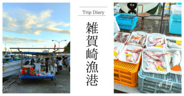 和歌山県にある『雑賀崎漁港』でとれたての海鮮を購入しました！