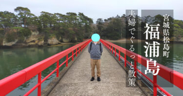 【松島】椿咲き誇る『福浦島』をぐるっと散策！風光明媚な島々の絶景を楽しみました
