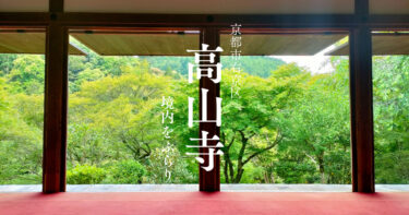 高山寺（京都）の境内、御朱印帳・御朱印を紹介