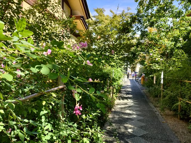 梨木神社　萩の小径
