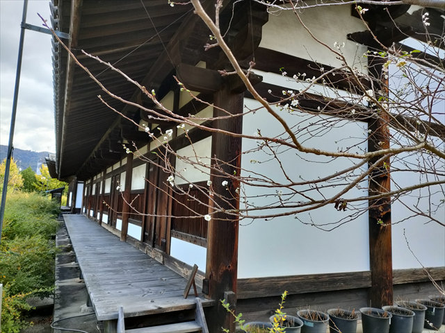 元興寺（奈良県）極楽坊禅室