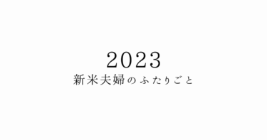 【2023年】新米夫婦の活動記録～東北から九州までぶっとび周遊～