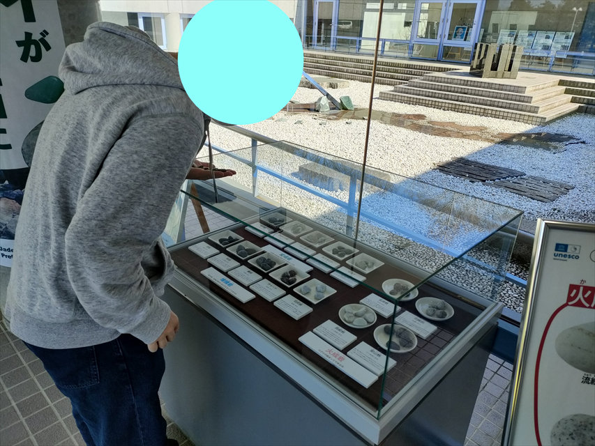 フォッサマグナミュージアム　石の分類が分かる展示を見る男性
