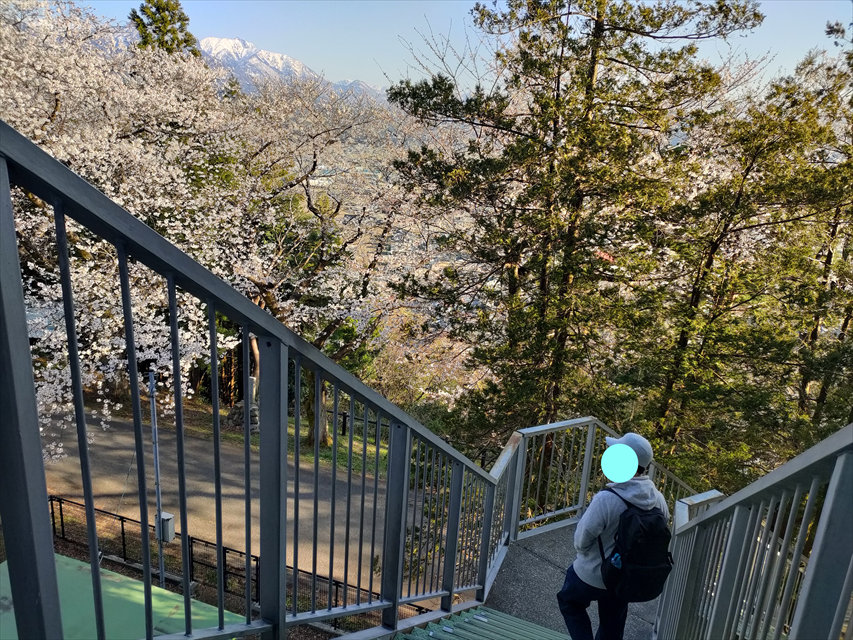 美山公園水道塔展望台