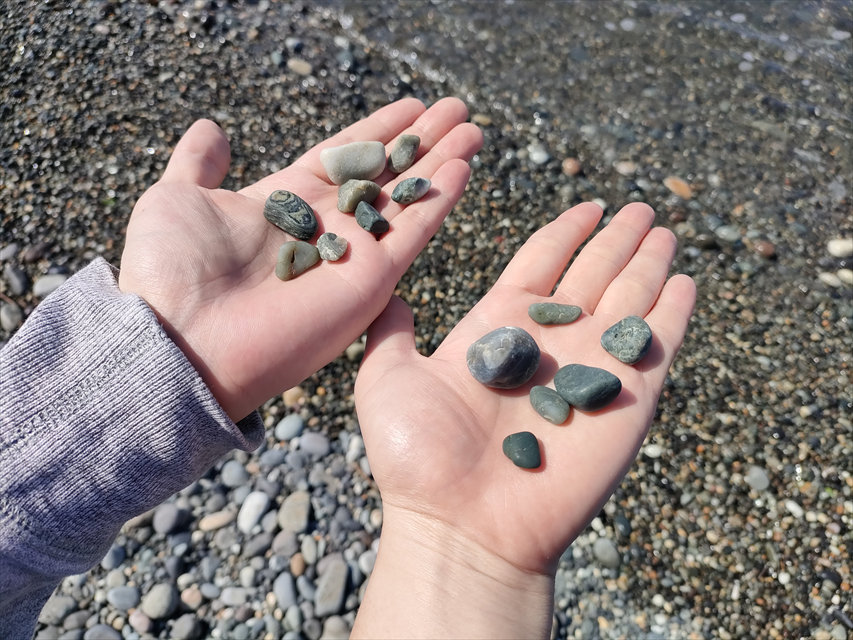 ヒスイ海岸で集めた石