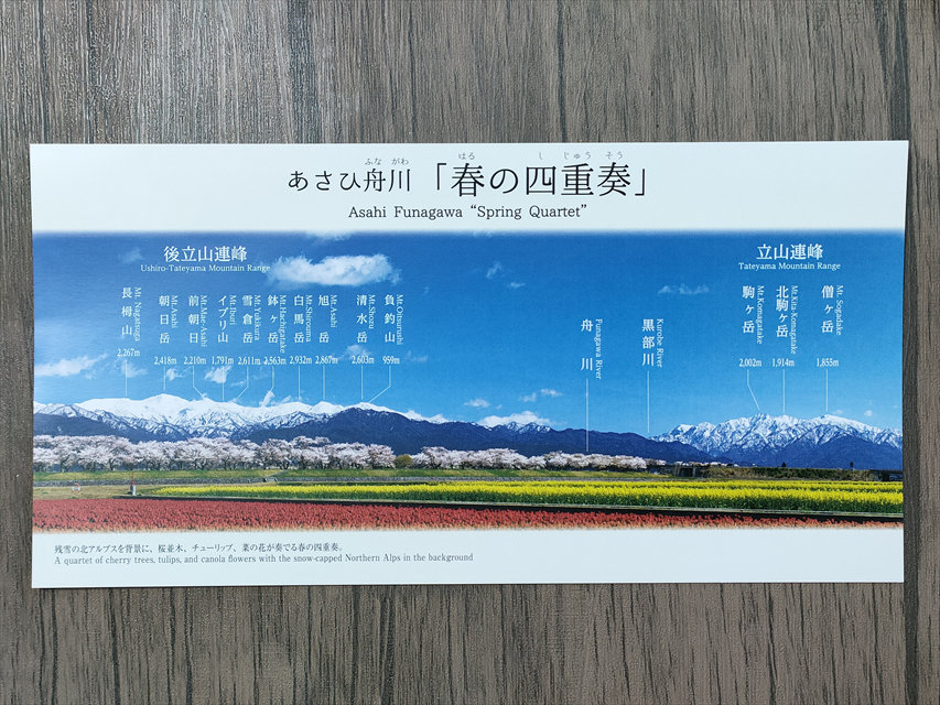 あさひ舟川「春の四重奏」ポストカード
