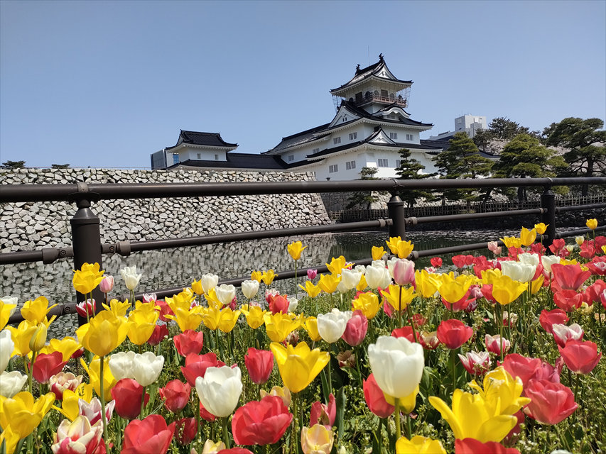 富山城跡（富山市郷土博物館）