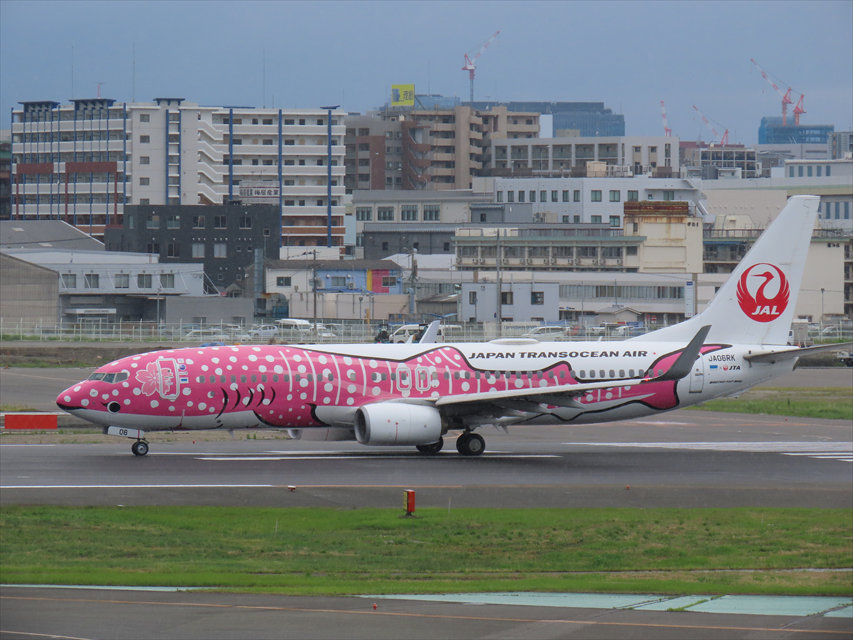 福岡空港JAL